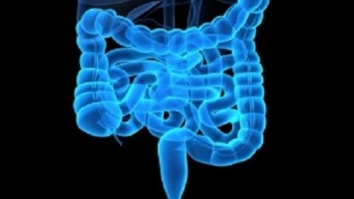 There is 'insufficient evidence' to make any conclusions about the efficacy of probiotics in cases of Crohn’s Disease. ©iStock