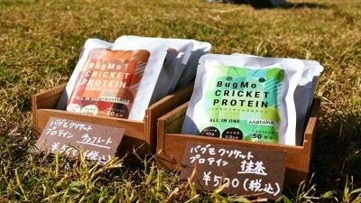 Bugmo is selling cricket protein bars that come in two flavours, chocolate and matcha. 