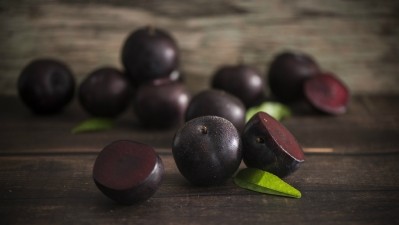The Queen Garnet plum was developed as part of a breeding programme by Queensland scientists, looking to maximise the nutritional value and health benefits of fruits.