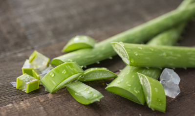 The Korea Consumer Agency warned that consuming aloe vera whole leaf extract daily for one to two weeks could cause side effects.  ©Getty Images 
