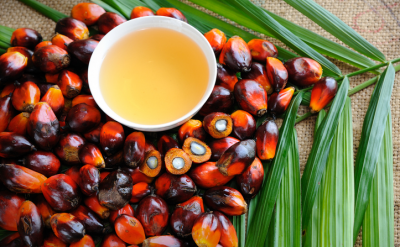 Palm oil is one of the most abundant natural sources of tocotrienols. ©Getty Images 