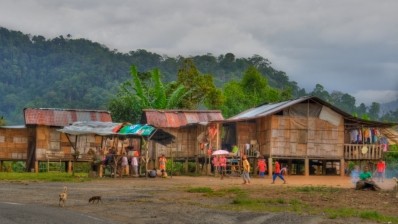 The first-of-its-kind study aims to characterise the microbiomes of Peninsular Malaysia’s indigenous tribes, collectively called Orang Asli. ©Nathan Kavumbura, Flickr