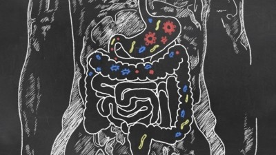 The study used culture-independent techniques to investigate the relationship between the mother’s gut microbiota during pregnancy and allergic disease in the offspring. ©GettyImages