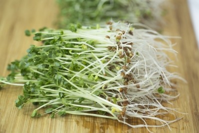 Consumption of broccoli sprout extract was found to increase melatonin production, which may enhance sleep quality among Japanese adults who reported having poor sleep, according to a study conducted by Kagome. ©Getty Images