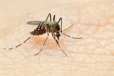 Kirin and University of Malaya to jointly research lactic acid bacteria on other tropical disease viruses following dengue clinical trial ©Getty Images