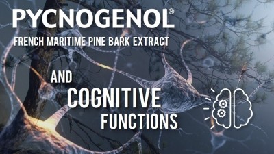 Pycnogenol® Supports Cognitive Function at Any Age 