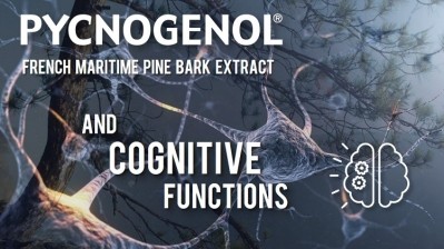 Pycnogenol® Supports Cognitive Function