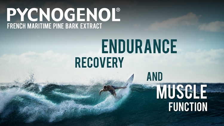 Pycnogenol® Supports Fitness and Muscle Function