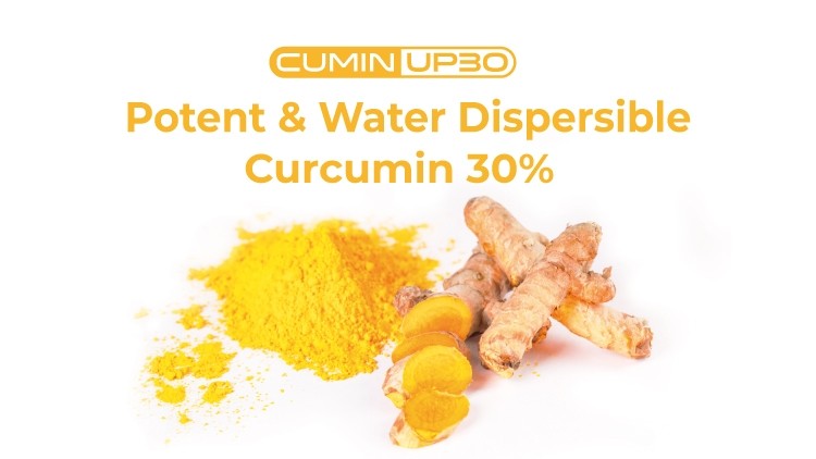 CuminUP30: Potent & Water Dispersible Curcumin 30%