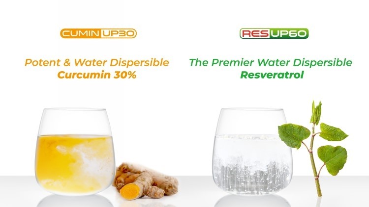 Discover the Absolute Bioavailability & Water Dispersibility in CuminUP30™ and ResUP60™