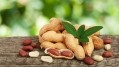 Probiotics and peanut allergy: Mounting evidence points to positive impact of supplementation