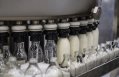 Immunity partnerships: Kirin targets SEA dairy, functional drinks collaboration with award-winning ingredient