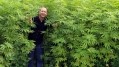 Australian hemp food and CBD supplement firm in $20m stock exchange listing: CEO interview