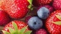 Vitamin C and berry polyphenols support health and immunity 