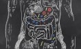 A drawing of the human gut. ©Getty Images 