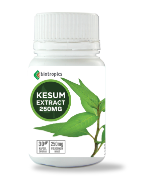Biotropics Kesum extract 250mg