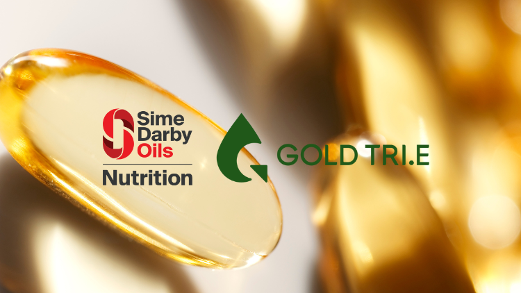 Gold Tri.E® improves lipid profile  
